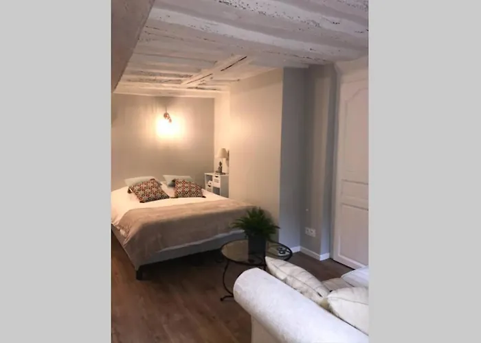 La P'tite Grise - Cosy Centre Daire