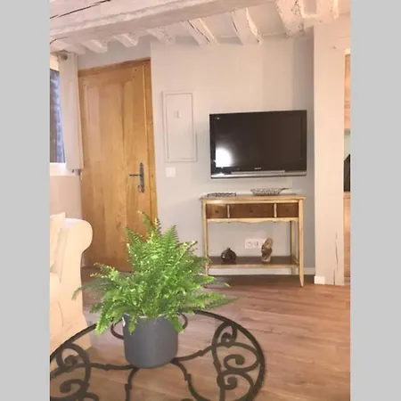 Appartement La P'tite Grise - Cosy Centre *