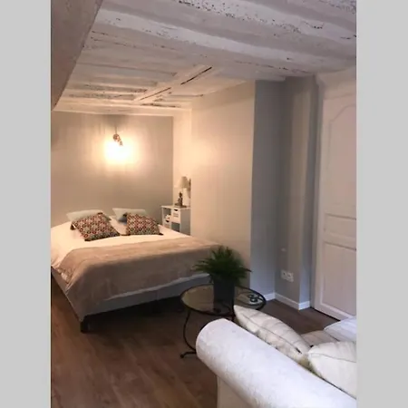 La P'tite Grise - Cosy Centre Apartment