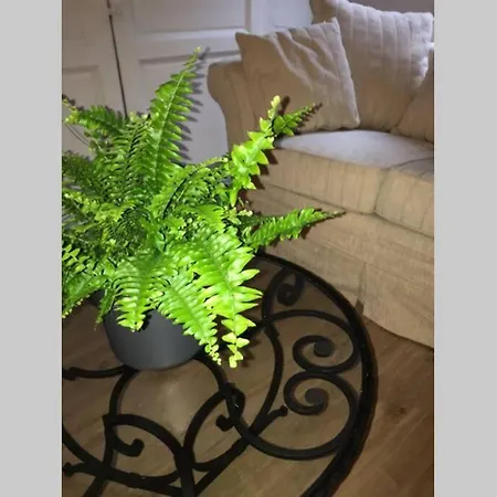 La P'tite Grise - Cosy Centre Apartment Honfleur