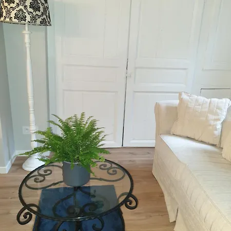 Apartment La P'tite Grise - Cosy Centre
