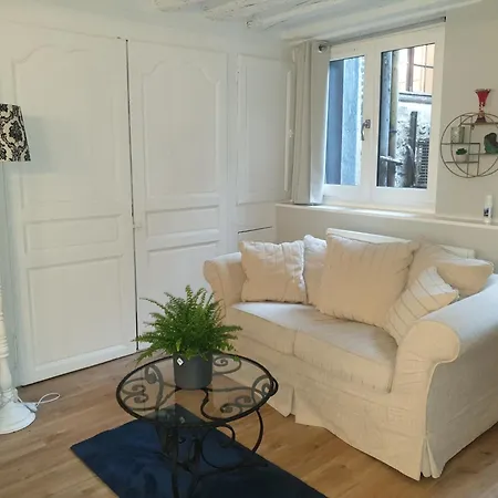 La P'tite Grise - Cosy Centre *