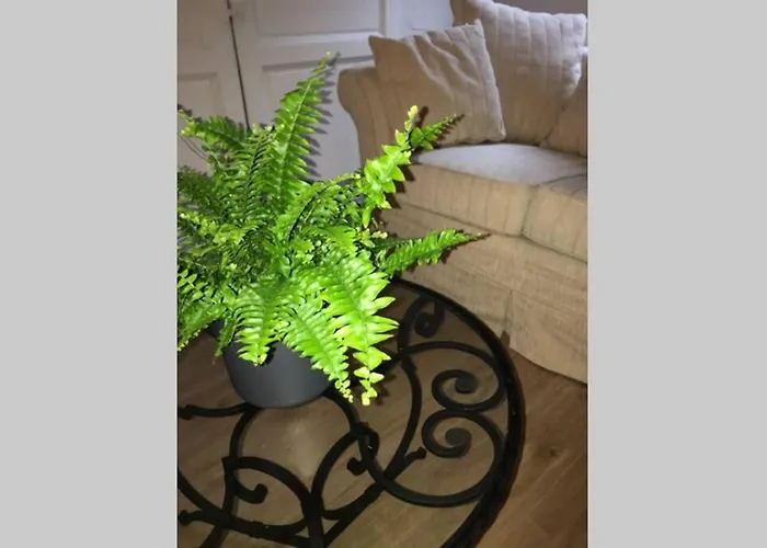 La P'tite Grise - Cosy Centre Appartement Honfleur