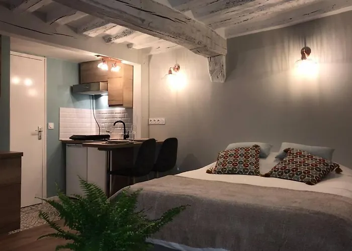 La P'tite Grise - Cosy Centre Appartement