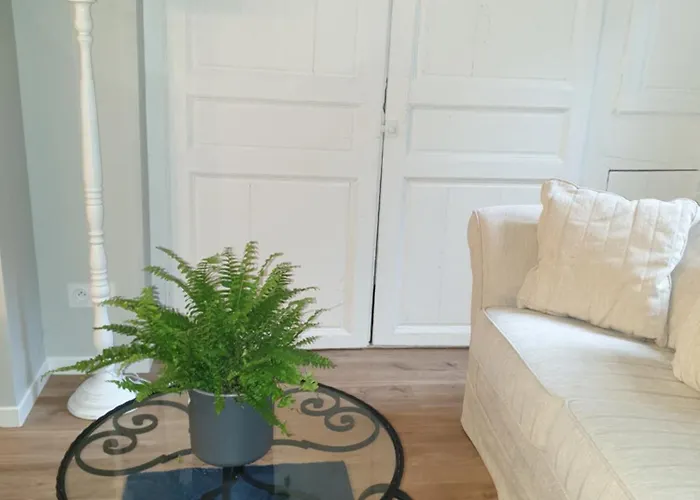 Appartement La P'tite Grise - Cosy Centre